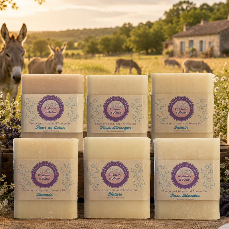 Savon 100gr | Enrichi au Lait d'Ânesse Bio