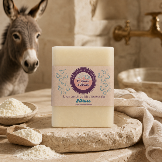 Ânesse Bio - Nature | 100g